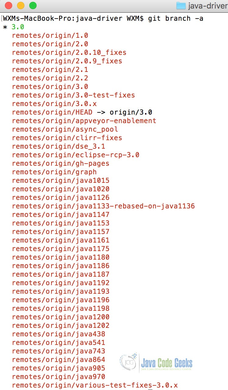 git branches list